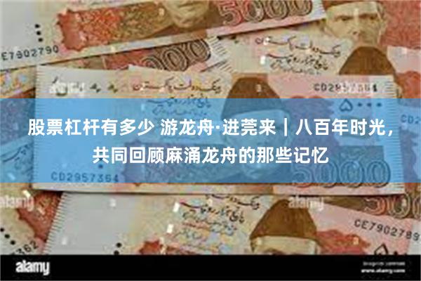 股票杠杆有多少 游龙舟·进莞来｜八百年时光，共同回顾麻涌龙舟的那些记忆