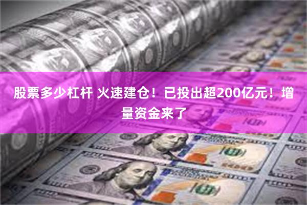 股票多少杠杆 火速建仓！已投出超200亿元！增量资金来了