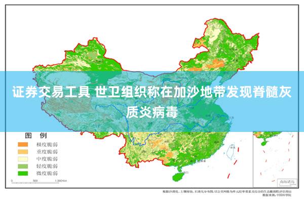 证券交易工具 世卫组织称在加沙地带发现脊髓灰质炎病毒