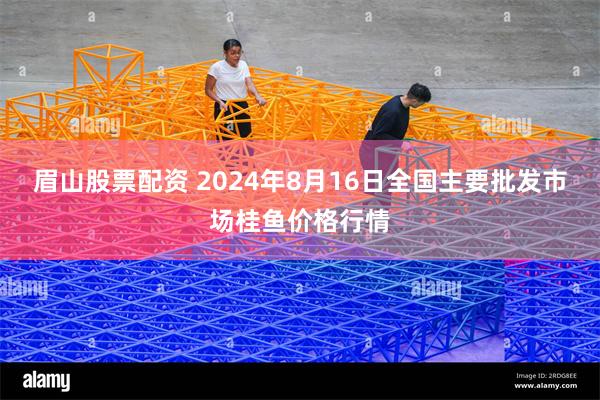 眉山股票配资 2024年8月16日全国主要批发市场桂鱼价格行情