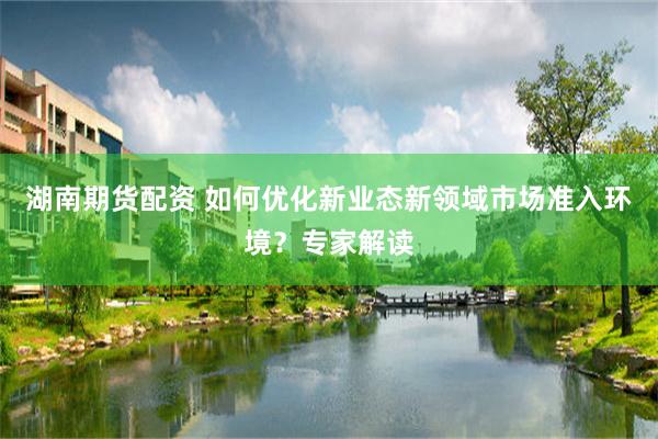 湖南期货配资 如何优化新业态新领域市场准入环境？专家解读