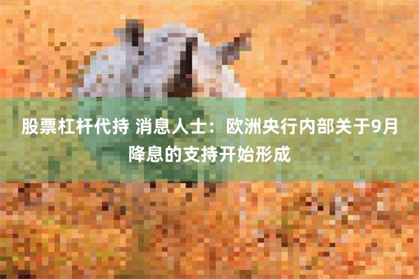 股票杠杆代持 消息人士：欧洲央行内部关于9月降息的支持开始形成