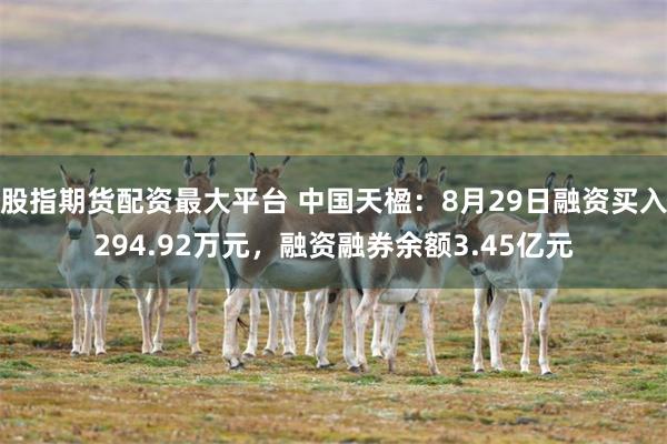 股指期货配资最大平台 中国天楹：8月29日融资买入294.92万元，融资融券余额3.45亿元