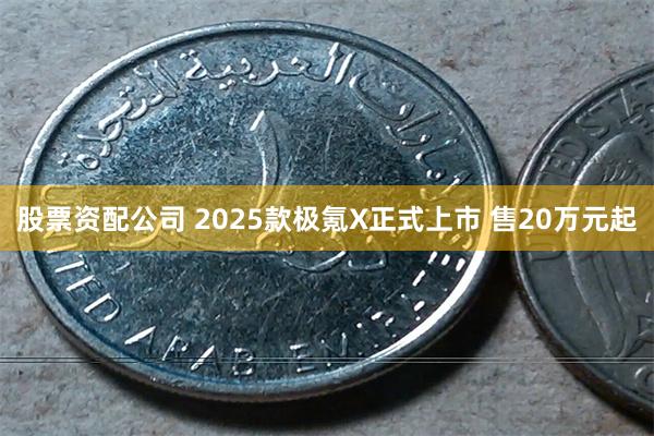 股票资配公司 2025款极氪X正式上市 售20万元起