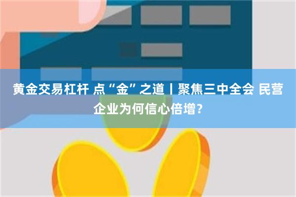 黄金交易杠杆 点“金”之道丨聚焦三中全会 民营企业为何信心倍增？