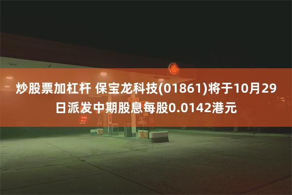 炒股票加杠杆 保宝龙科技(01861)将于10月29日派发中期股息每股0.0142港元