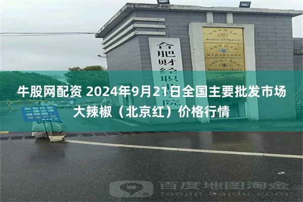 牛股网配资 2024年9月21日全国主要批发市场大辣椒（北京红）价格行情