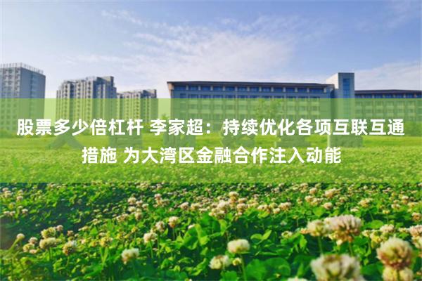 股票多少倍杠杆 李家超：持续优化各项互联互通措施 为大湾区金融合作注入动能