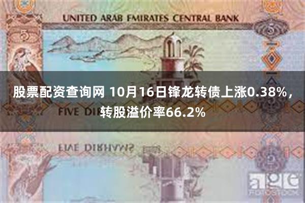 股票配资查询网 10月16日锋龙转债上涨0.38%，转股溢价率66.2%