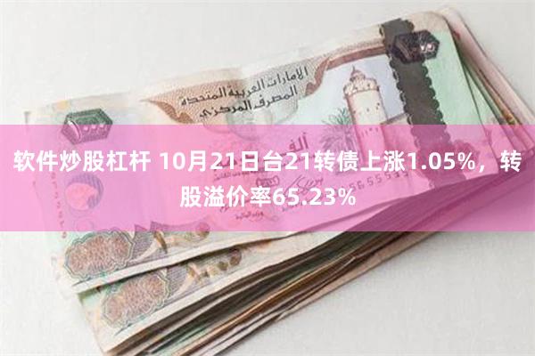 软件炒股杠杆 10月21日台21转债上涨1.05%，转股溢价率65.23%