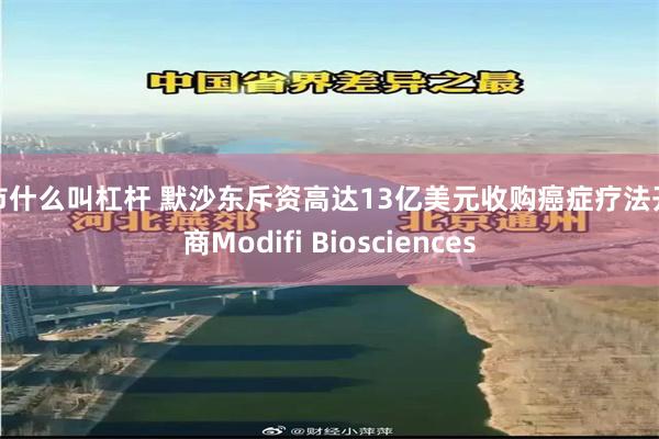 股市什么叫杠杆 默沙东斥资高达13亿美元收购癌症疗法开发商Modifi Biosciences