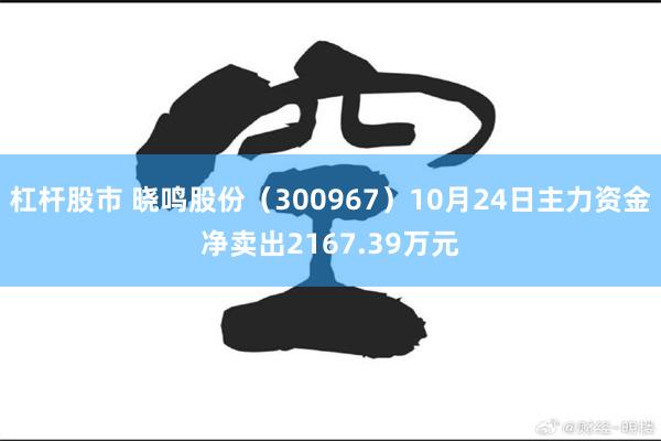 杠杆股市 晓鸣股份（300967）10月24日主力资金净卖出2167.39万元