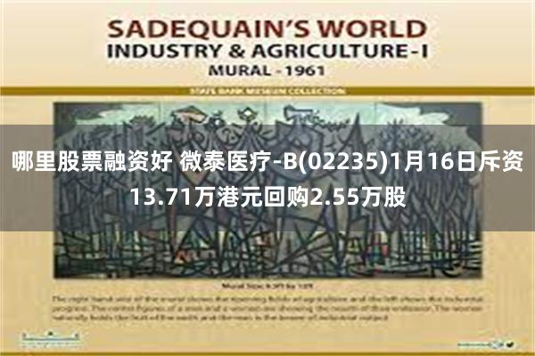 哪里股票融资好 微泰医疗-B(02235)1月16日斥资13.71万港元回购2.55万股