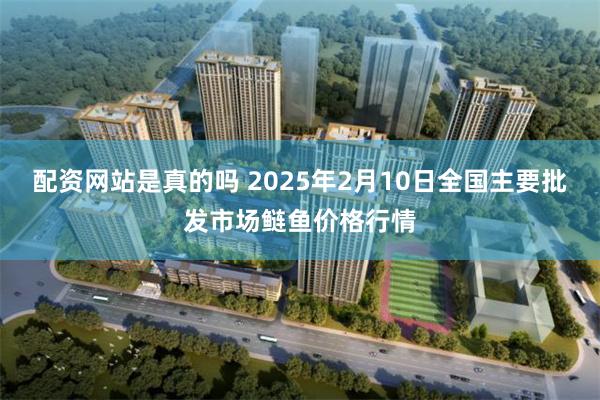 配资网站是真的吗 2025年2月10日全国主要批发市场鲢鱼价格行情