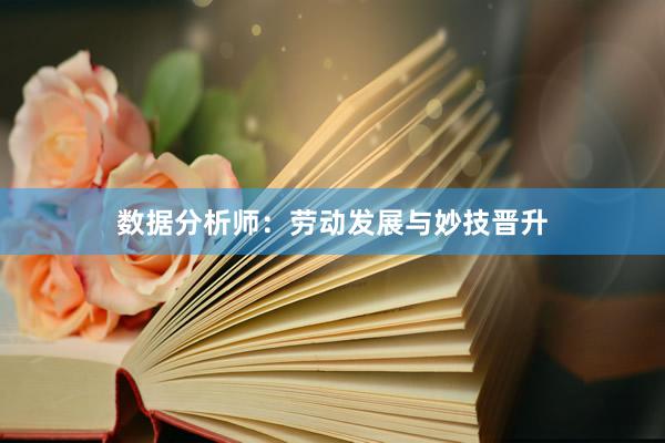 数据分析师：劳动发展与妙技晋升